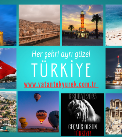 VatanTekYurek.com.tr Alan Adı Satılık Domain