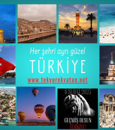 TekYurekVatan.net Alan Adı Satılık Domain